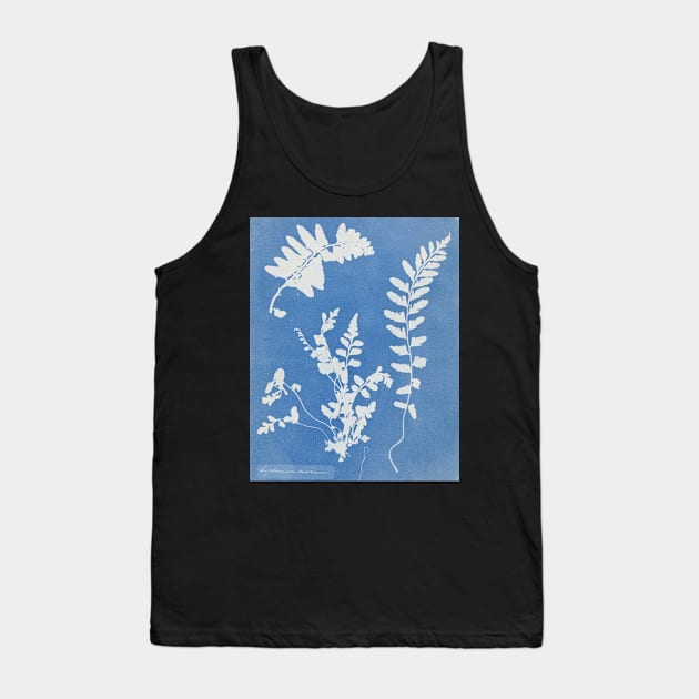 Asplenium marinum Tank Top by SHappe